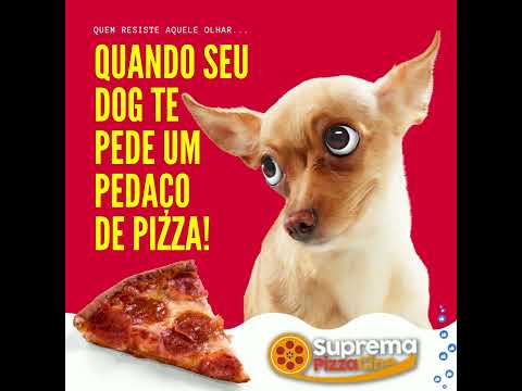 iae vc resiste ?🍕😃😍🐶 Chama no ZAP (11) 9 5165-6177 Pizzaria Temática de Cinema