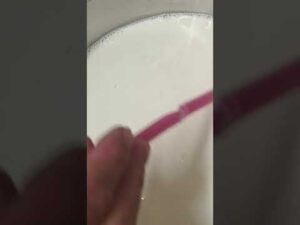 Panna Cotta